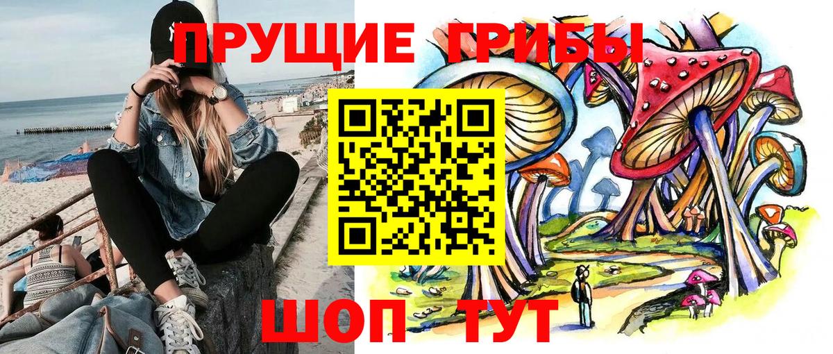 Галлюциногенные грибы MAGIC MUSHROOMS  Вход с VPN  Ливны 