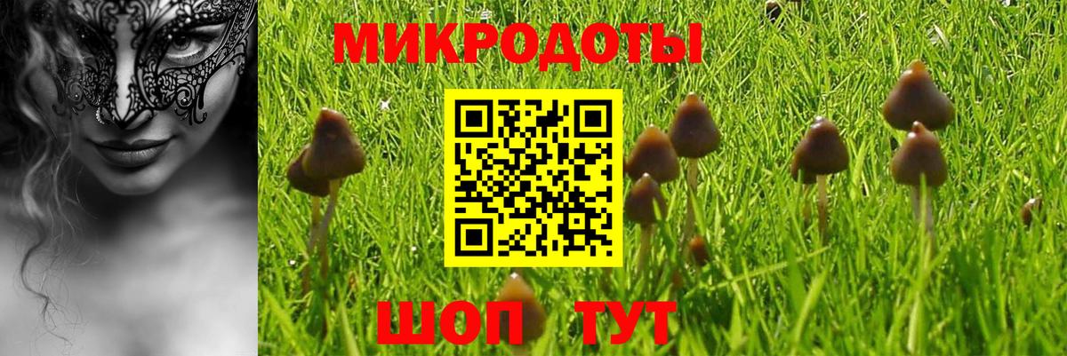 Псилоцибиновые грибы ЛСД Ливны